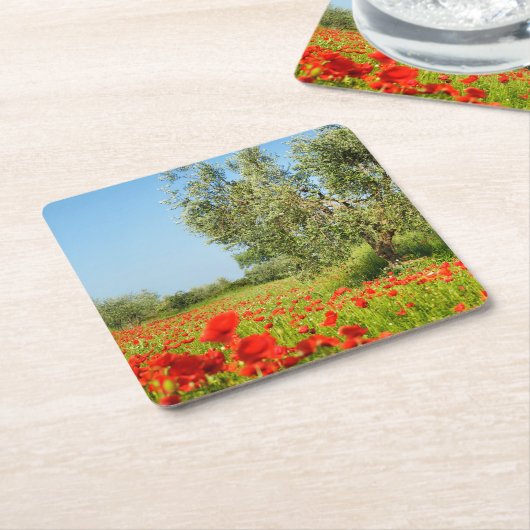 Olivenbaum im Mohnblumenfeld-Untersetzer Rechteckiger Pappuntersetzer (angewinkelt)