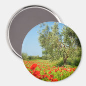 Olivenbaum im Mohnfeld rund Magnet (Vorderseite/Rückseite)