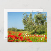 Olivenbaum in Mohnfeld-Postkarte Postkarte (Vorne/Hinten)