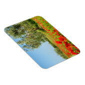 Olivenbaum in rechteckigem Mohnfeld Magnet (Rechte Seite)