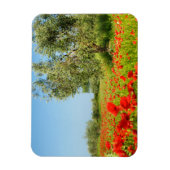 Olivenbaum in rechteckigem Mohnfeld Magnet (Vertikal)