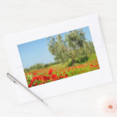 Olivenbaum in rechteckigem Mohnfeld Rechteckiger Aufkleber (Umschlag)