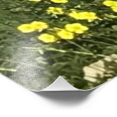 Olivenbaum in Yoga-Position Fotodruck (Ecke)