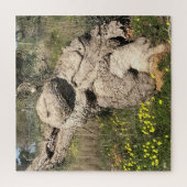 Olivenbaum in Yoga-Position Puzzle (Vertikal)