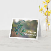 Olivenbaum mit Bokeh Hintergrund Karte (Gelbe Blume)