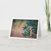 Olivenbaum mit verschwommenem Hintergrund Karte (Vorderseite)