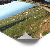 Olivenbaum Poster (Ecke)