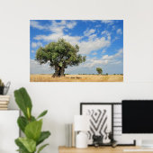 Olivenbaum Poster (Heimbüro)