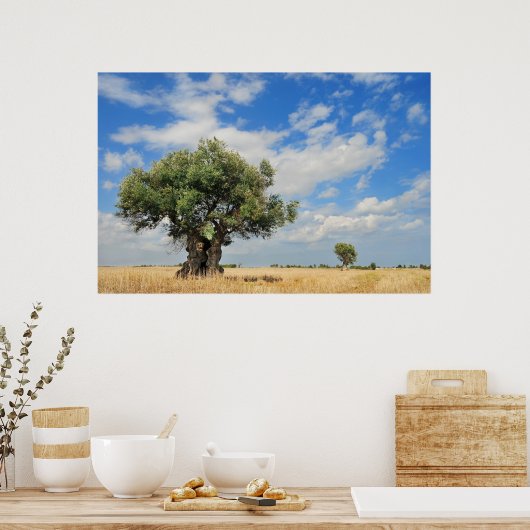 Olivenbaum Poster (Küche)