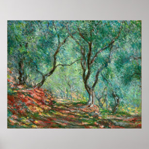 Olivenbäume im Garten Poster