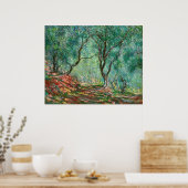 Olivenbäume im Garten Poster (Küche)