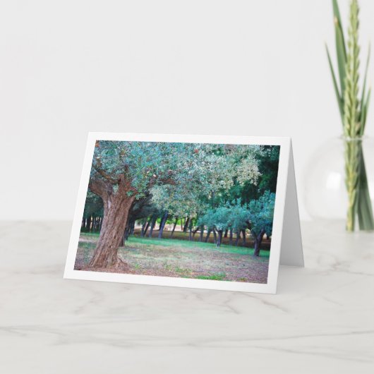 Olivenbäume im Park Karte (Vorderseite)