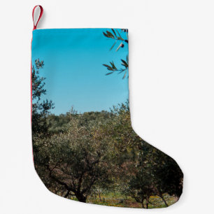 Olivenbäume in der apulischen Landschaft im Herbst Kleiner Weihnachtsstrumpf