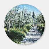 OLIVENBÄUME IN DER Toskana Magnet (Vorne)