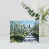 OLIVENBÄUME IN DER Toskana Postkarte (Stehend Vorderseite)