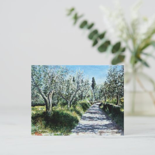 OLIVENBÄUME IN DER Toskana Postkarte (Stehend Vorderseite)