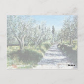 OLIVENBÄUME IN DER Toskana Postkarte (Rückseite)