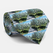 OLIVENBÄUME IN DER TUSKANISCHEN LANDSCHAFT KRAWATTE (Gerollt)