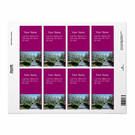 OLIVENBÄUME IN RIMAGGIO (Vorne)