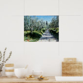 OLIVENBÄUME IN RIMAGGIO POSTER (Küche)
