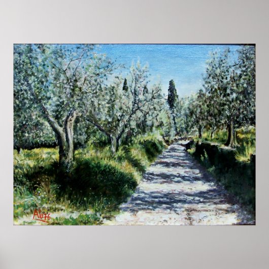 OLIVENBÄUME IN RIMAGGIO POSTER (Vorne)