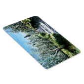 OLIVENBÄUME IN RIMAGGIO - TUSKANIE MAGNET (Rechte Seite)