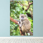 Olivenbäume Leinwanddruck (Insitu (Holzboden))