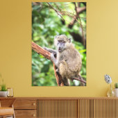 Olivenbäume Leinwanddruck (Insitu (Wohnzimmer))