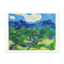 Olivenbäume mit den Alpen im Hintergrund