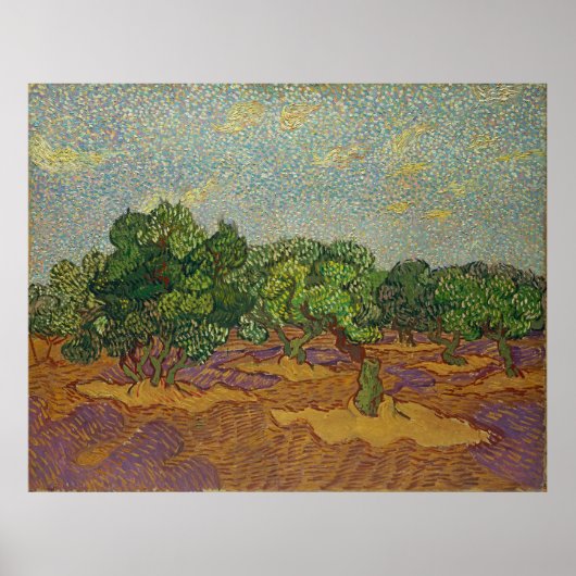 Olivenbäume, Van Gogh Poster (Vorne)