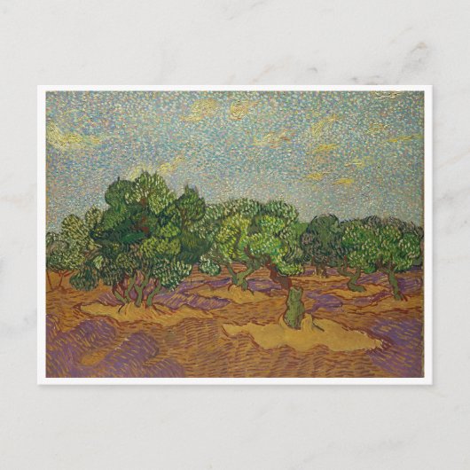 Olivenbäume, Van Gogh Postkarte (Vorderseite)