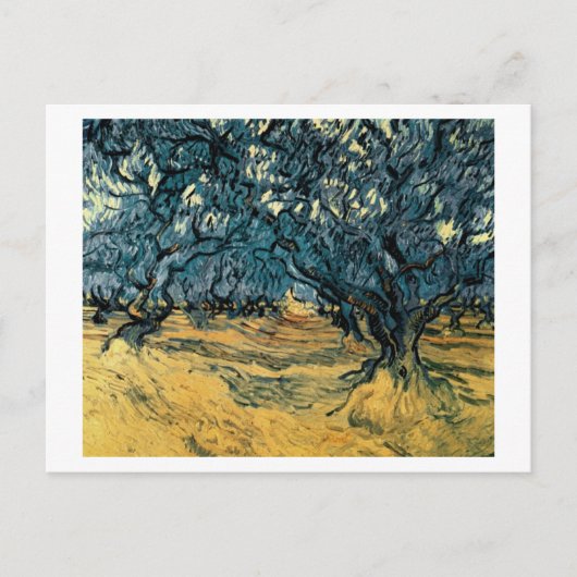 Olivenbäume, Vincent van Gogh Postkarte (Vorderseite)