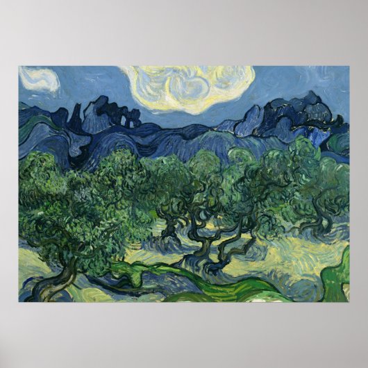 Olivenbäume von Van Gogh Poster (Vorne)