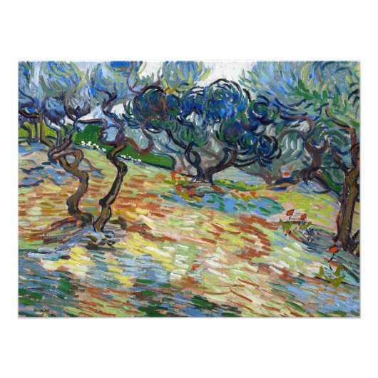 Olivenbäume von Vincent van Gogh Fotodruck (Vorne)