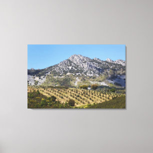 Olivenbaumgruppen Leinwanddruck