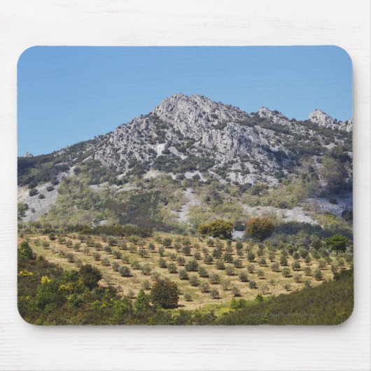 Olivenbaumgruppen Mousepad (Vorne)