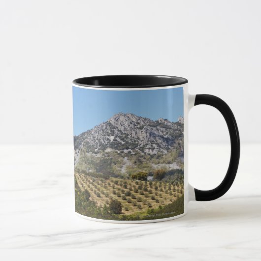 Olivenbaumgruppen Tasse (Rechts)