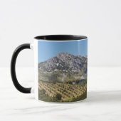 Olivenbaumgruppen Tasse (Links)