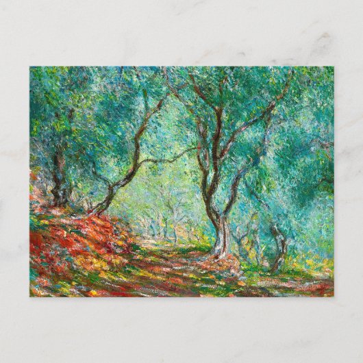 Olivenbaumholz im Garten Moreno, 1884 Postkarte (Vorderseite)