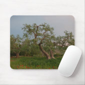 Olivenbaumwaldung an Sonnenuntergang mousepad (Mit Mouse)