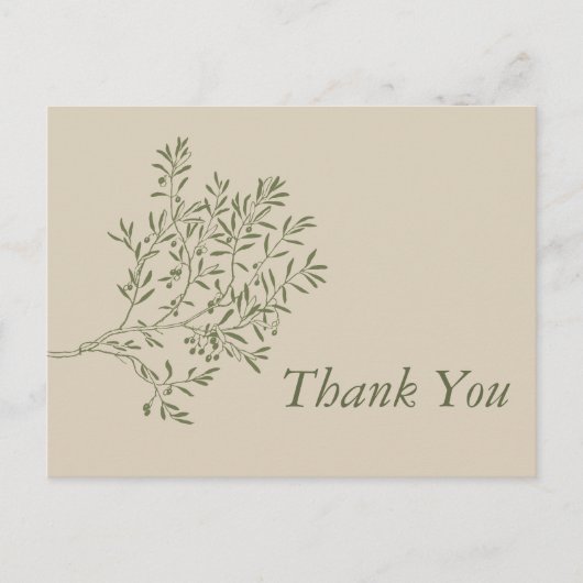 Olivenbaumzweig, rustikal & minimalistisch Vielen Postkarte (Vorderseite)