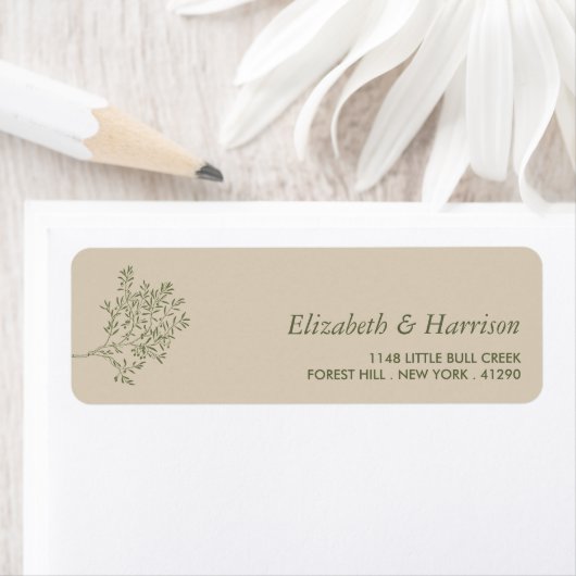 Olivenbaumzweig, rustikale und minimalistische Hoc (Insitu)