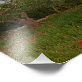 Olivenhain bei Sonnenuntergang Foto drucken (Ecke)