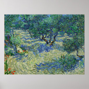 Olivenhain, Vincent van Gogh Poster
