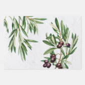 Olivenhaine Blätter Mittelmeerinsel Griechenland (Vorderseite)