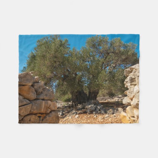 Olivenhaine Fleecedecke (Vorderseite (Horizontal))