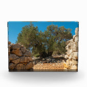 Olivenhaine Fotoblock (Vorderseite)