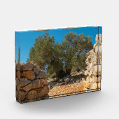 Olivenhaine Fotoblock (Links)