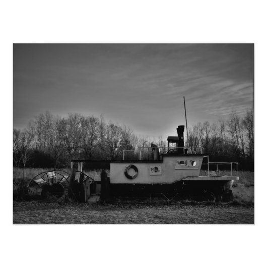 "Olivenhaine" Fotodruck (Vorne)