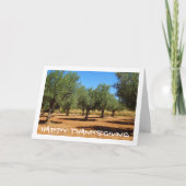 Olivenhaine Landschaft Karte (Vorderseite)